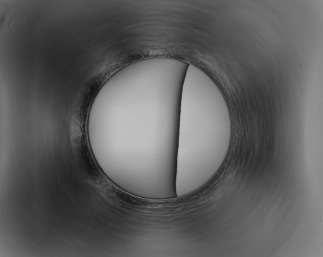 X0000088180691200705150940