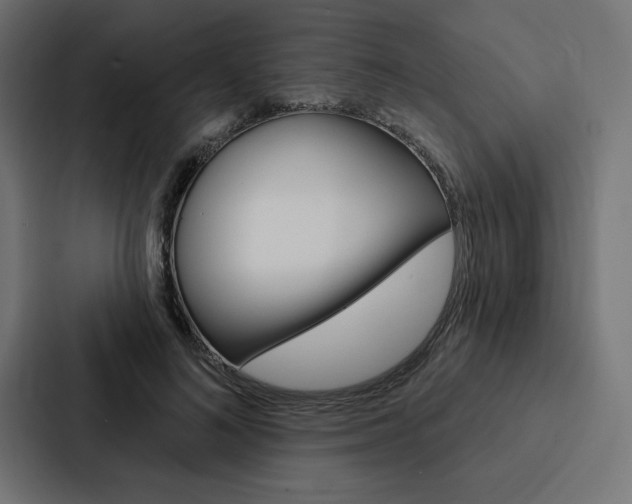 X0000088180692200705150940