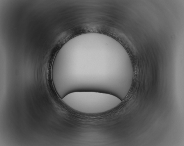 X0000088180694200705150940