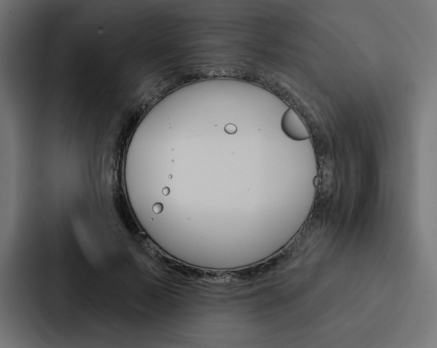 X0000088180695200705150940