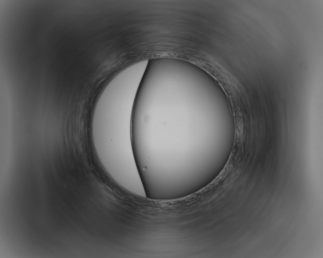 X0000088180696200705150940