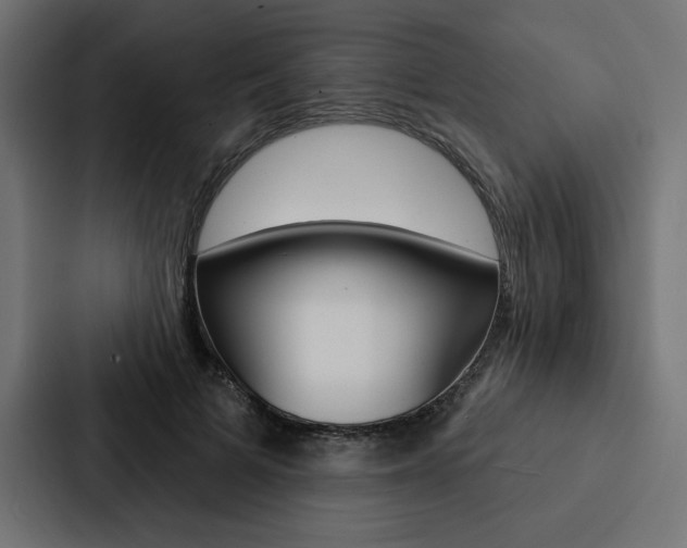 X0000088180697200705150940