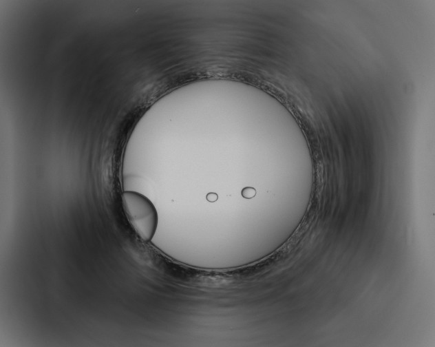 X0000088180698200705150940