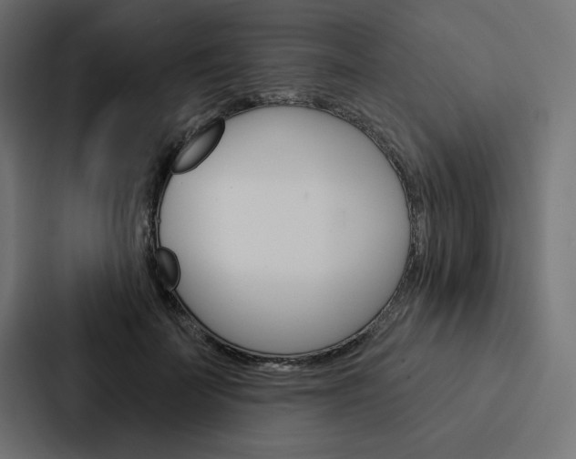 X0000088180699200705150939