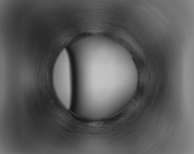 X0000088180700200705150939