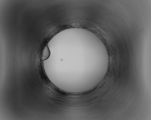 X0000088180702200705150939