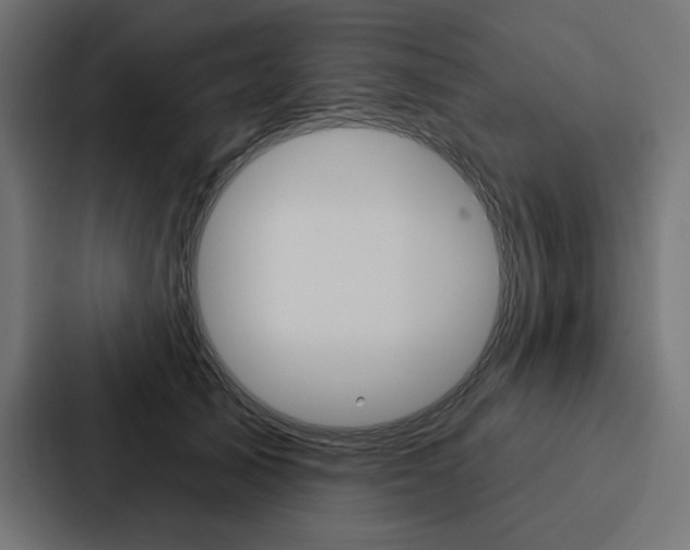 X0000088180705200705150939