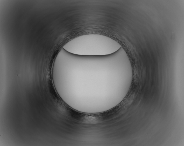 X0000088180706200705150939