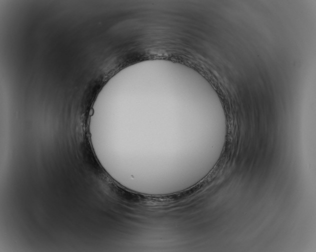 X0000088180707200705150939