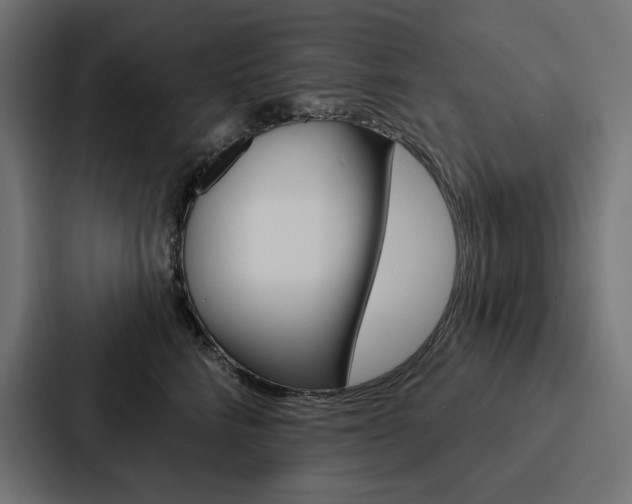 X0000088180712200705150939