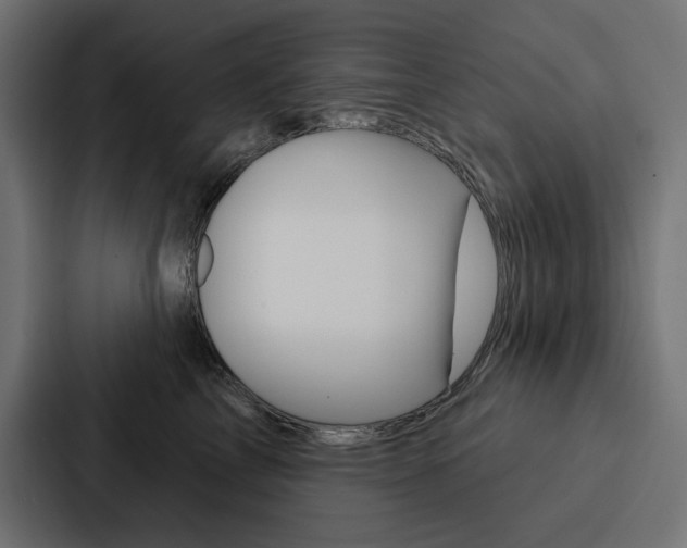 X0000088180713200705150939