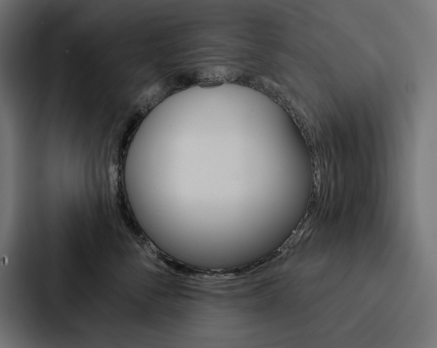X0000088180716200705150939