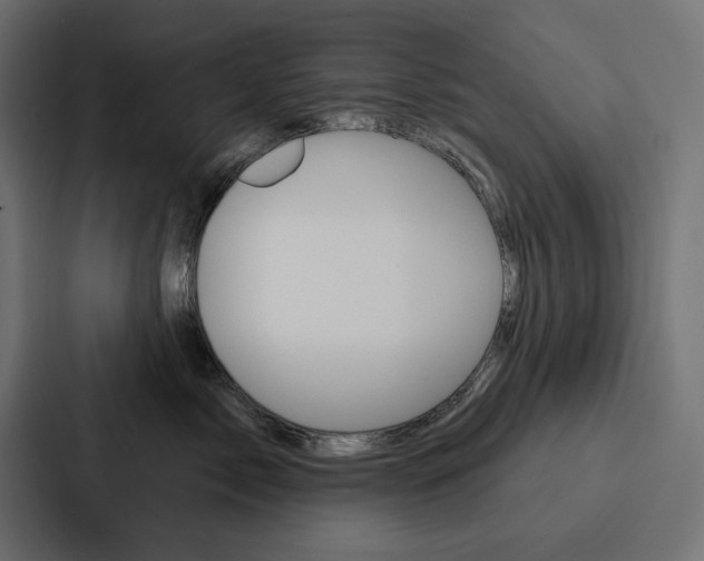 X0000088180717200705150939