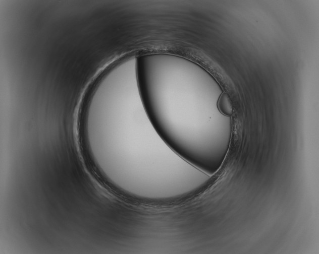 X0000088180722200705150939