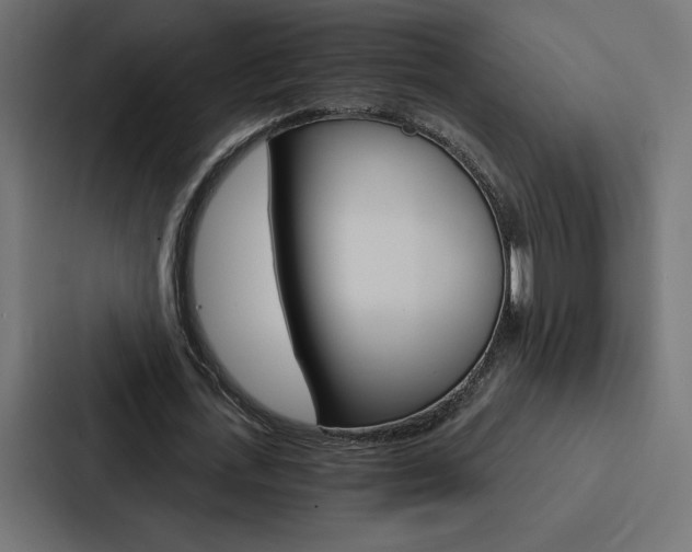 X0000088180723200705150939