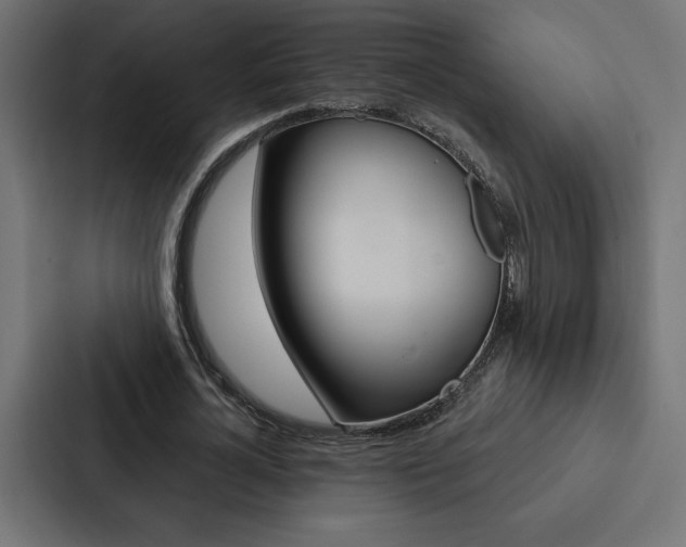X0000088180724200705150939