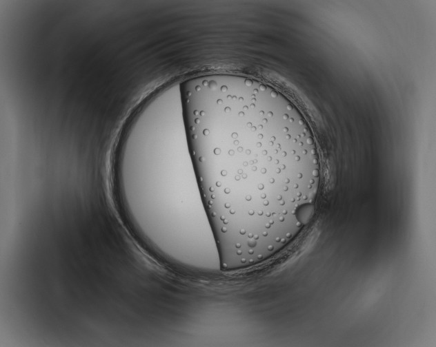 X0000088180725200705150939