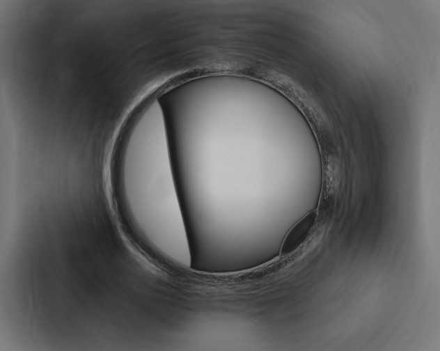 X0000088180726200705150939
