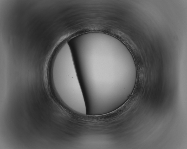 X0000088180727200705150939