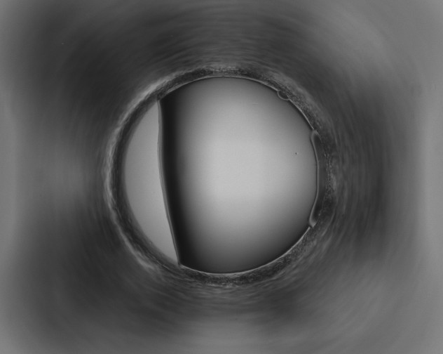 X0000088180728200705150939