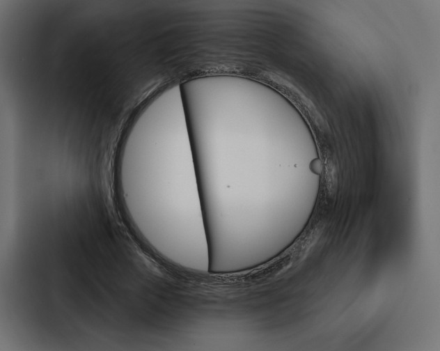 X0000088180729200705150939