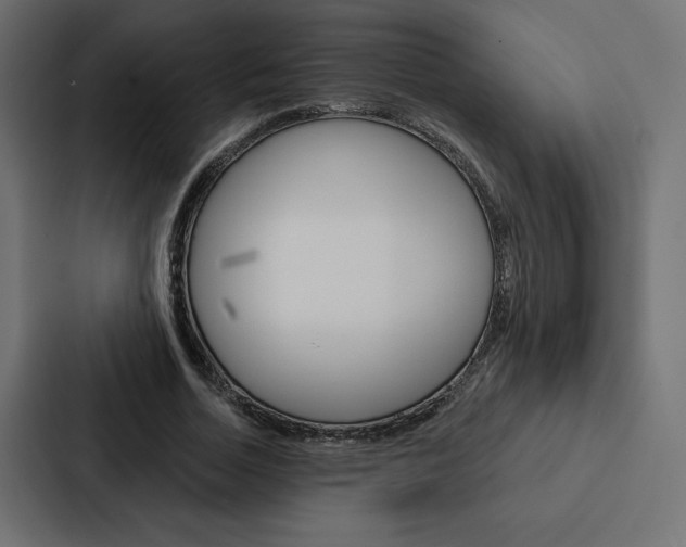 X0000088180730200705150939