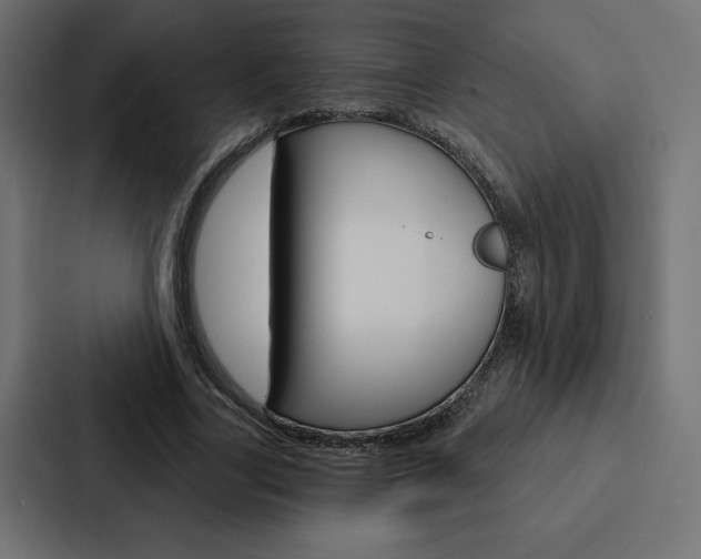 X0000088180731200705150939