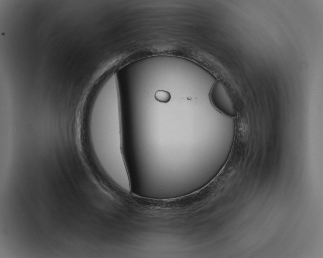 X0000088180732200705150939