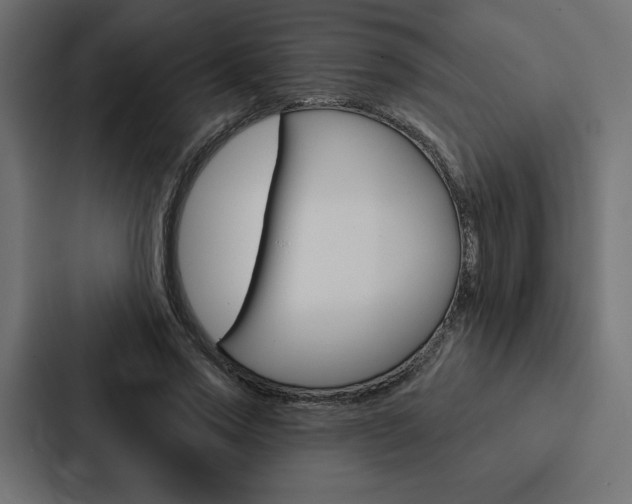 X0000088180733200705150939