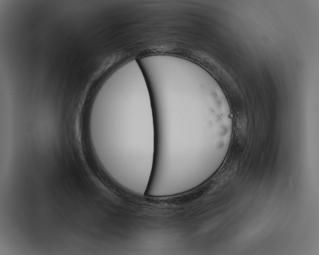 X0000088180734200705150939