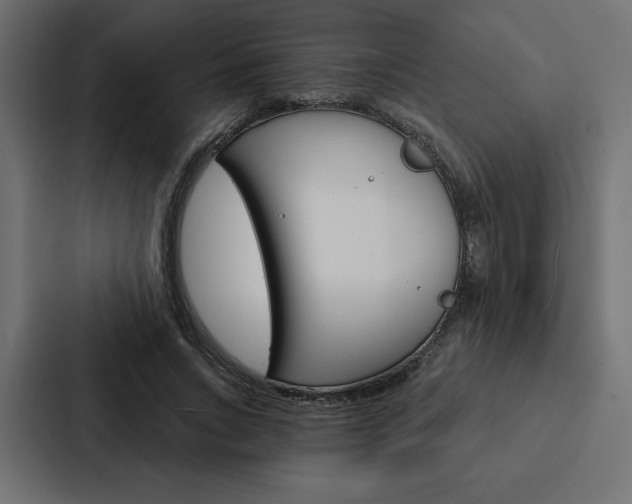 X0000088180735200705150939