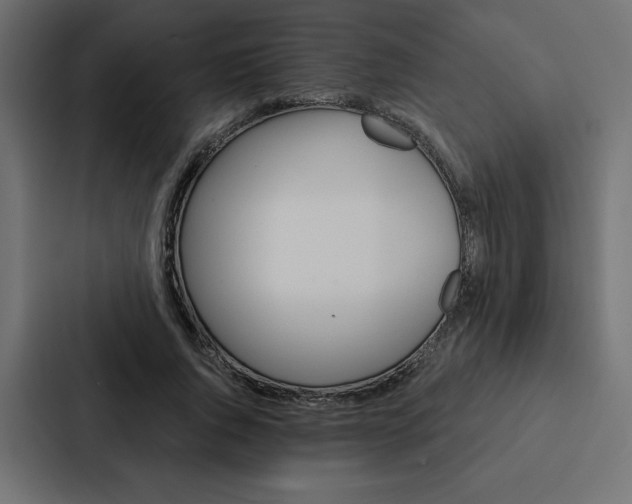 X0000088180736200705150939