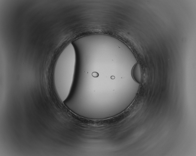 X0000088180739200705150939