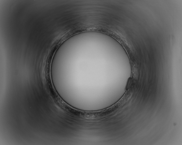 X0000088180740200705150939