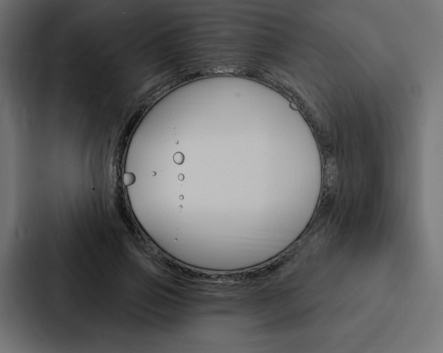 X0000088180741200705150939