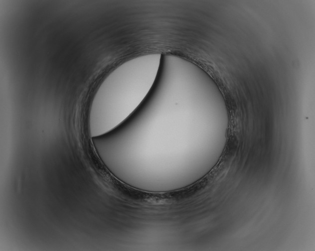 X0000088180742200705150939