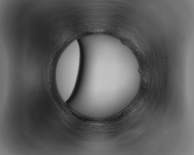 X0000088180743200705150939