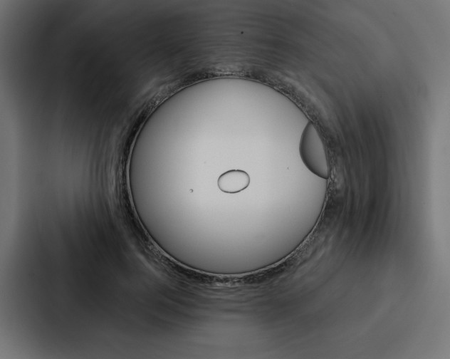 X0000088180744200705150939