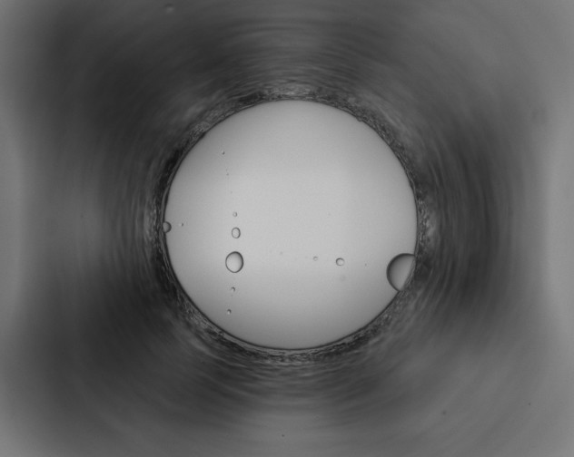 X0000088180745200705150939