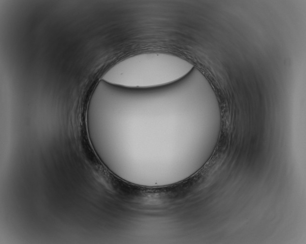 X0000088180746200705150939