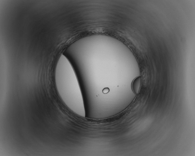 X0000088180747200705150939