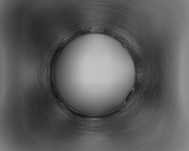 X0000088180748200705150939