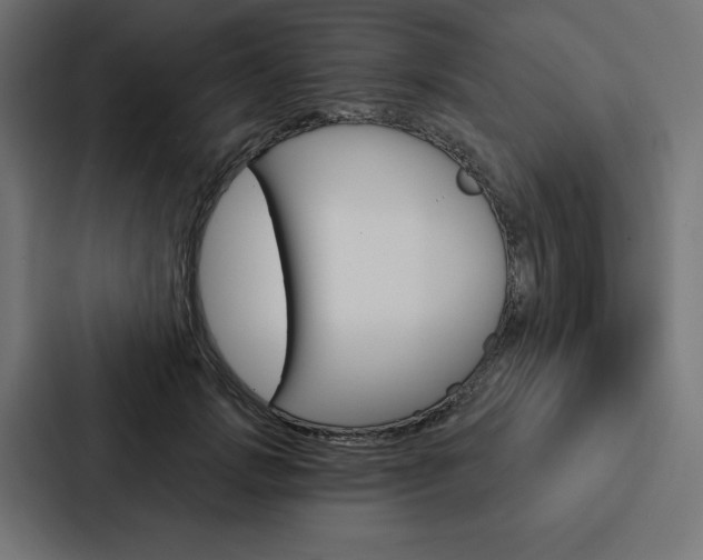 X0000088180749200705150939