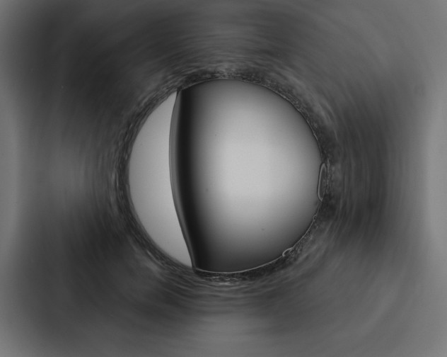 X0000088180750200705150939