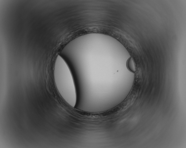 X0000088180751200705150939