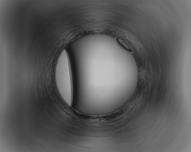 X0000088180752200705150939