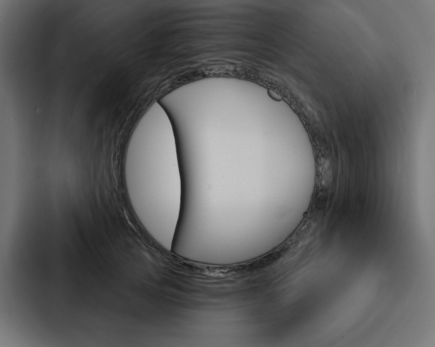 X0000088180753200705150939