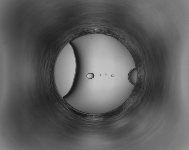X0000088180754200705150939