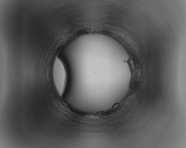 X0000088180756200705150939