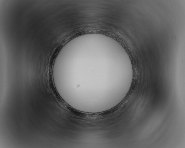 X0000088180757200705150939